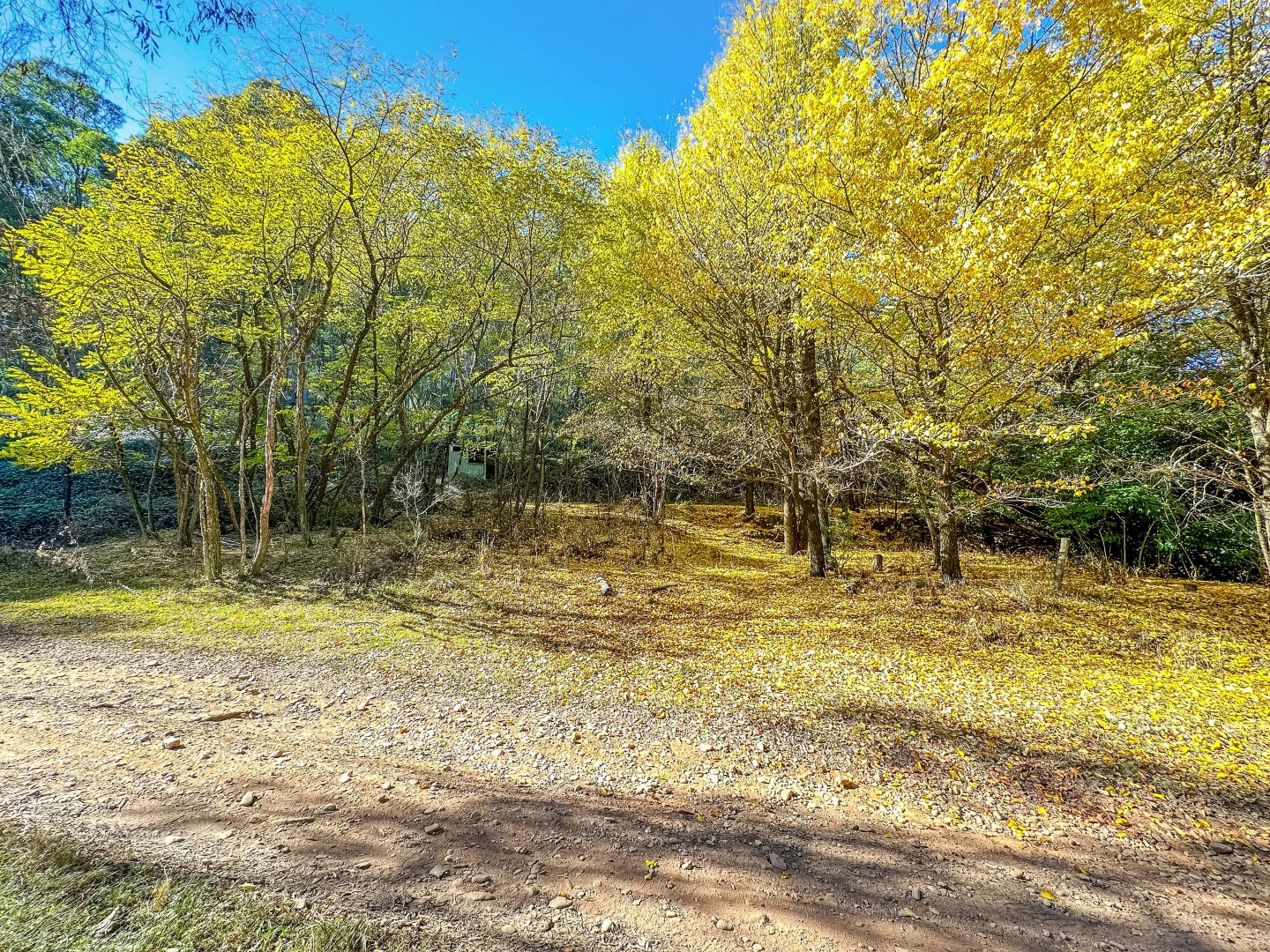 Additional image 5 of CA1/SEC 5 Buckland River Track, Buckland VIC 3740