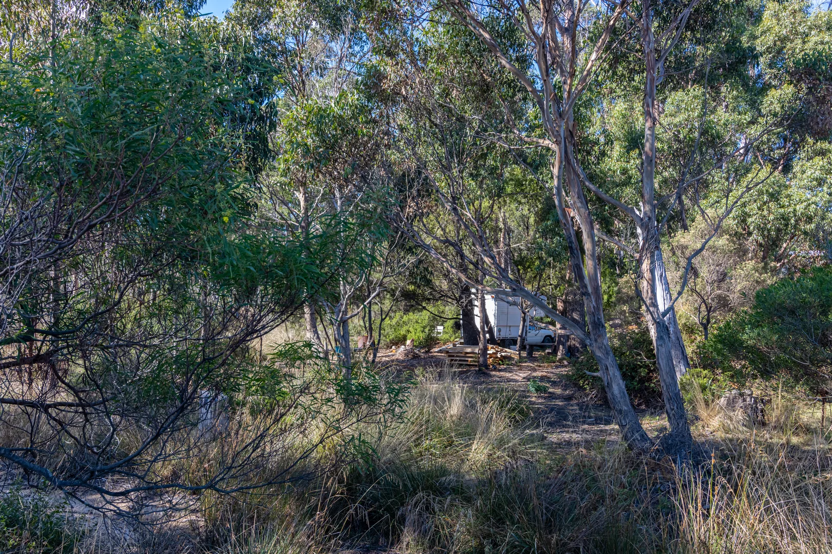 Additional image 9 of Eggs And Bacon Bay TAS 7112