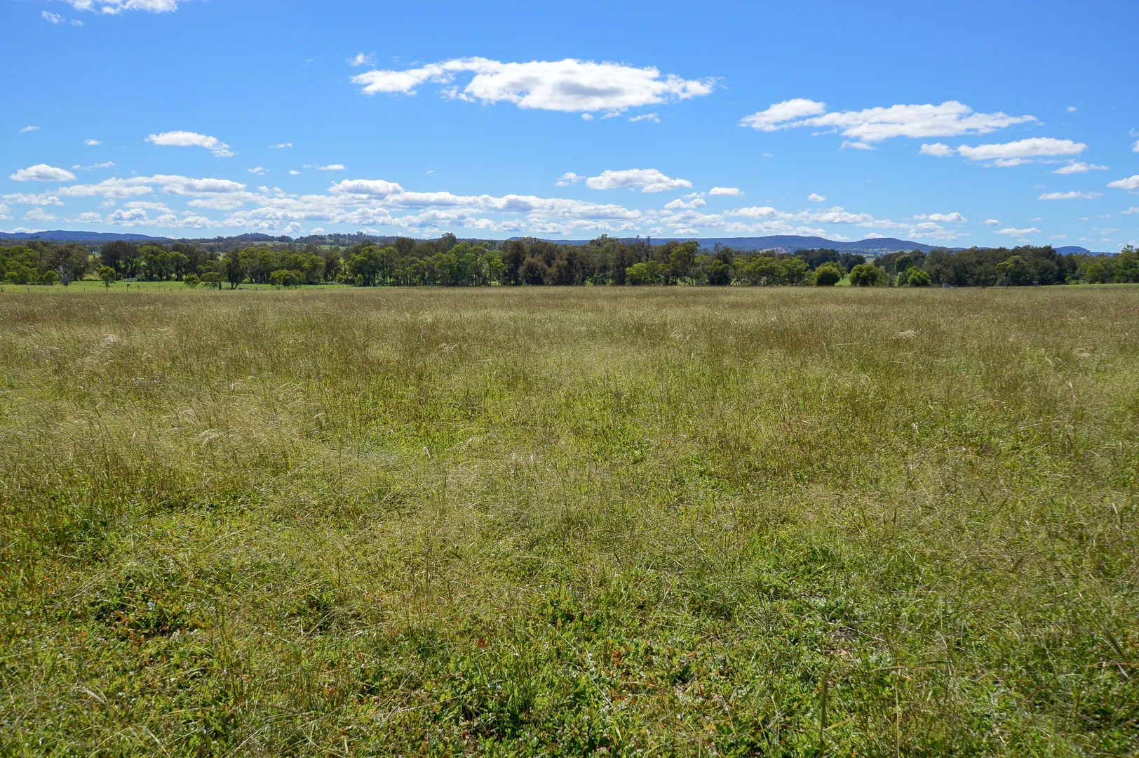 Additional image 15 of 156 Frog Rock Road, Mudgee NSW 2850