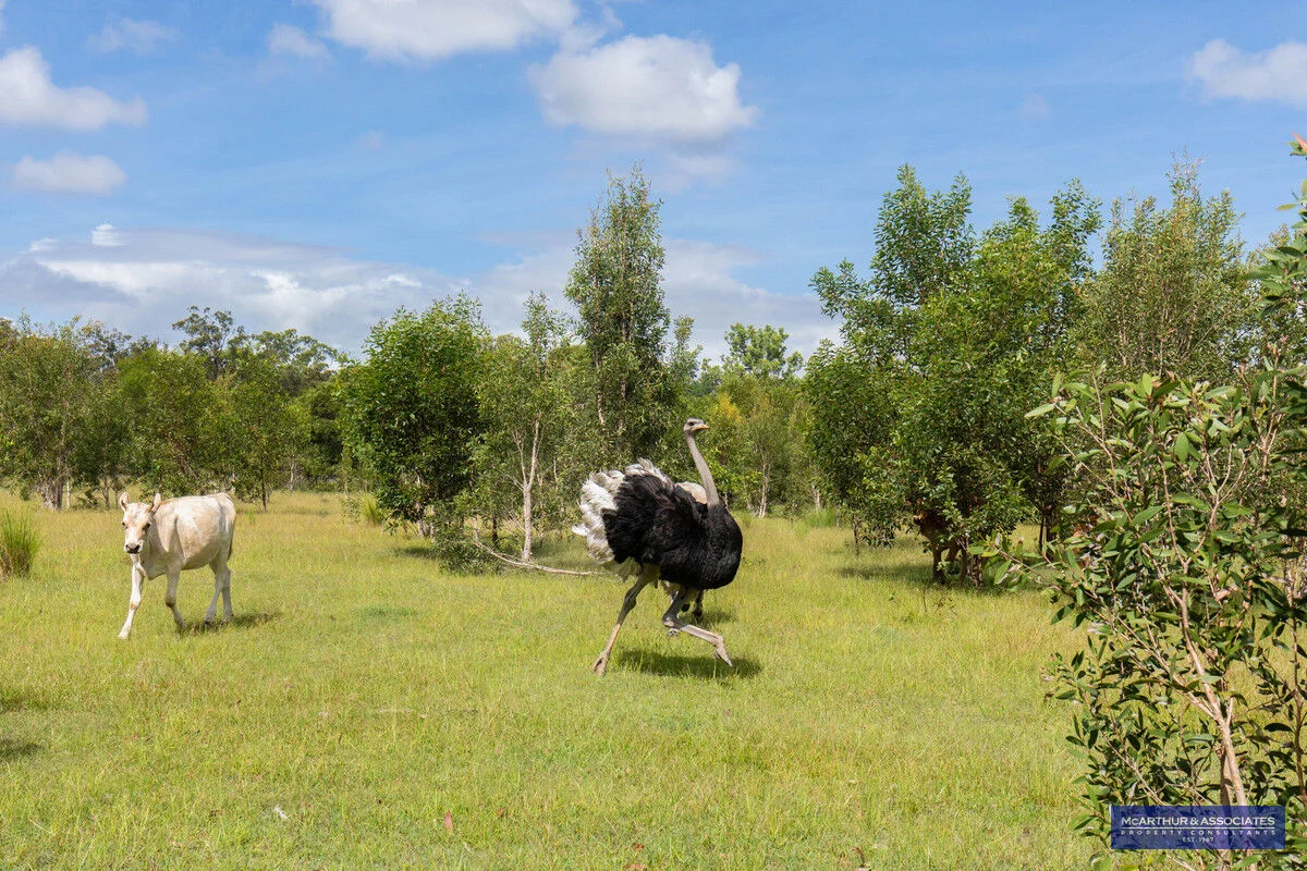 Additional image 20 of Bunya Creek QLD 4655