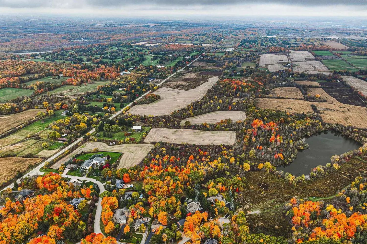 3415 Cedar Springs Road