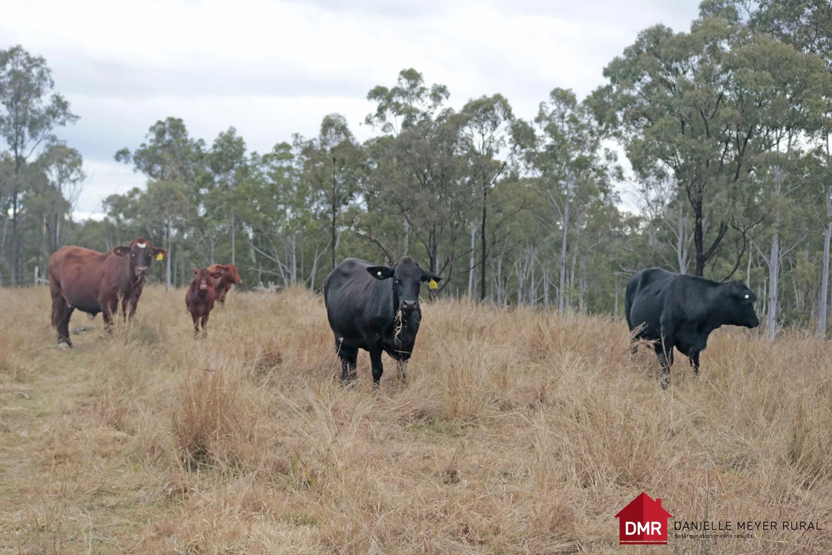 Additional image 25 of Lot 33-35 Bilboolan Road, Eidsvold QLD 4627