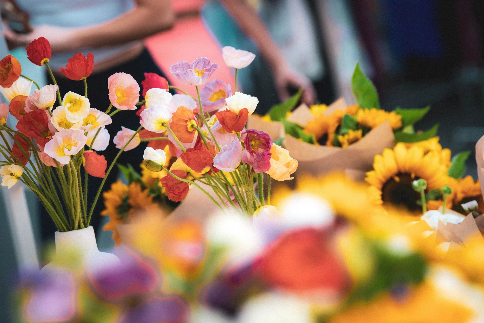 Additional image 12 of 1201/133 Eagle Terrace, Auchenflower QLD 4066