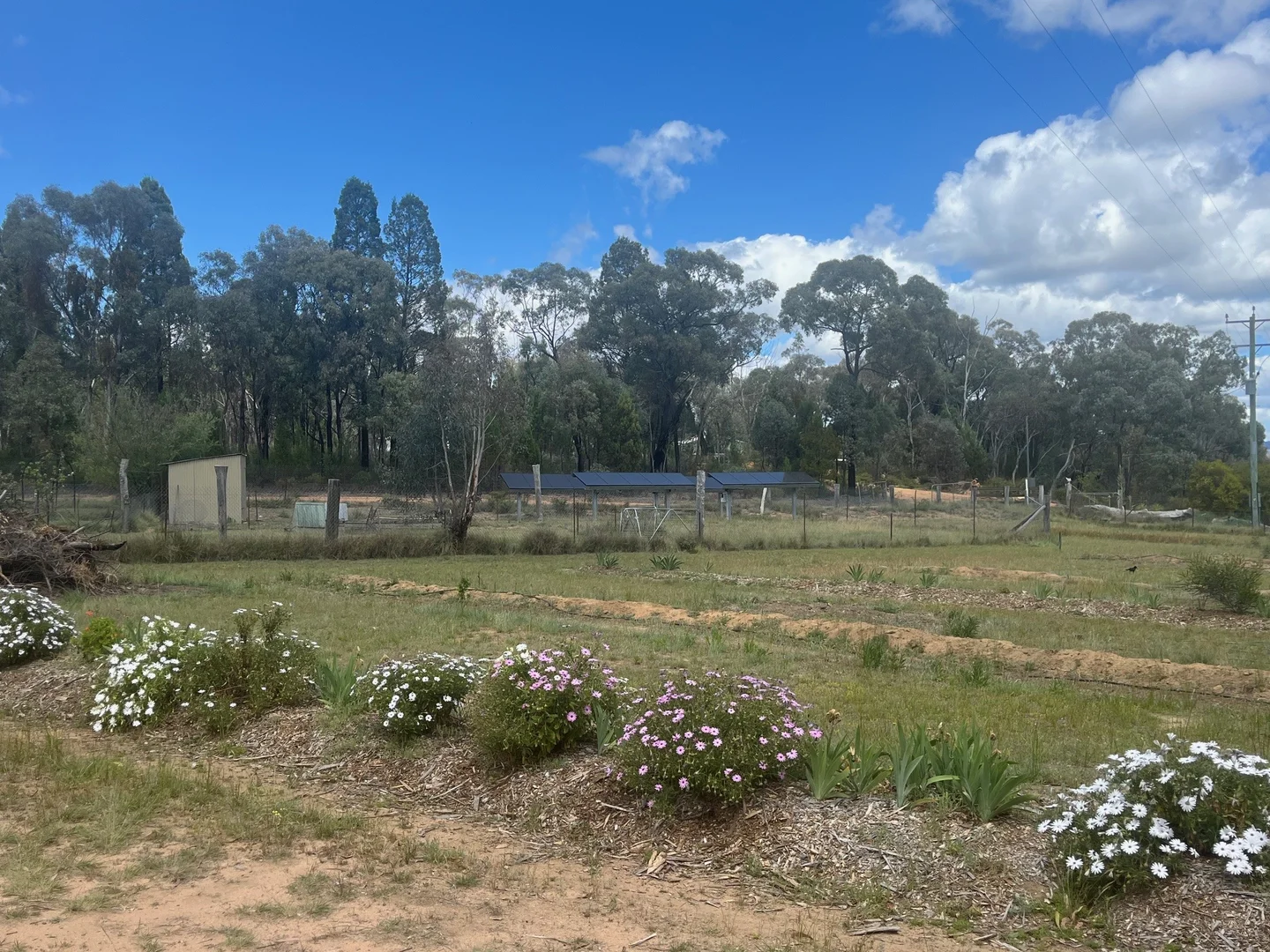 Additional image 22 of 4655 Baradine Road, Coonabarabran NSW 2357