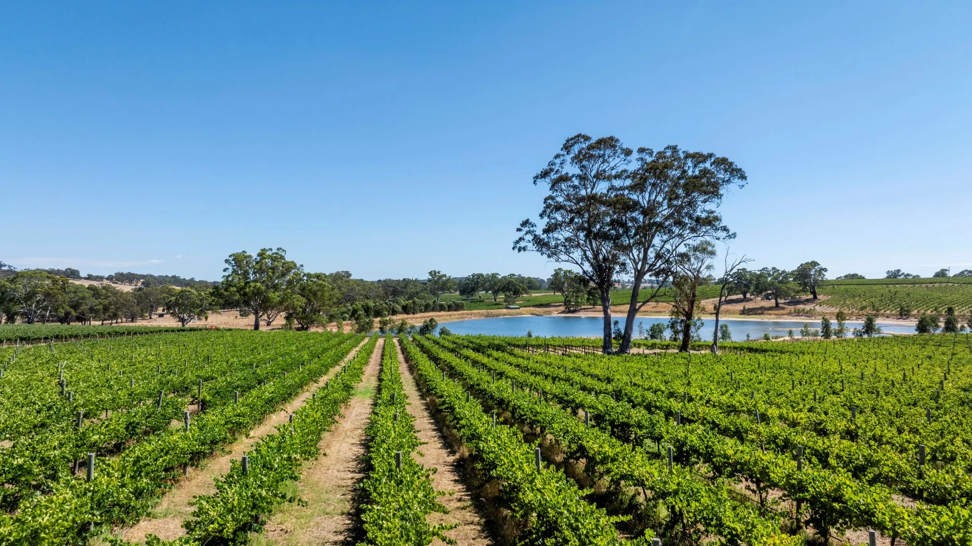 Additional image 9 of 1282 Torrens Valley Road, Birdwood SA 5234