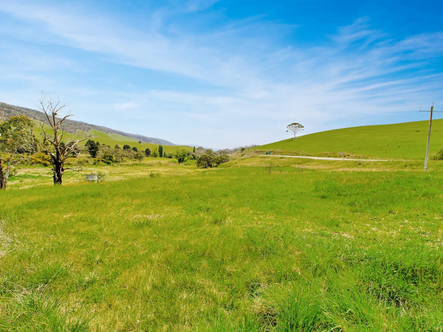 Additional image 3 of 303 Omeo Highway, Omeo VIC 3898