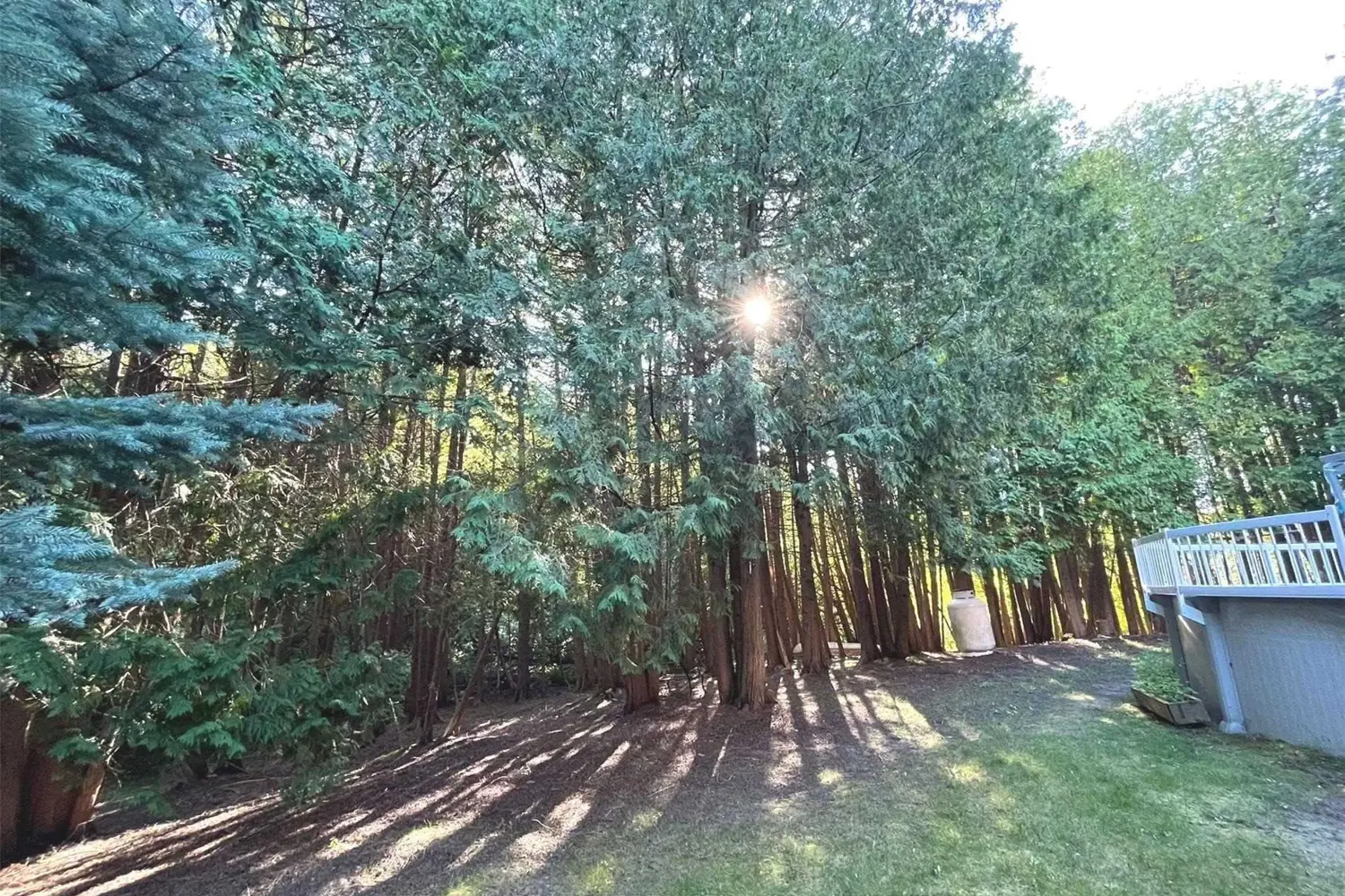 Additional image 19 of 4 Sunshine Mountain Drive