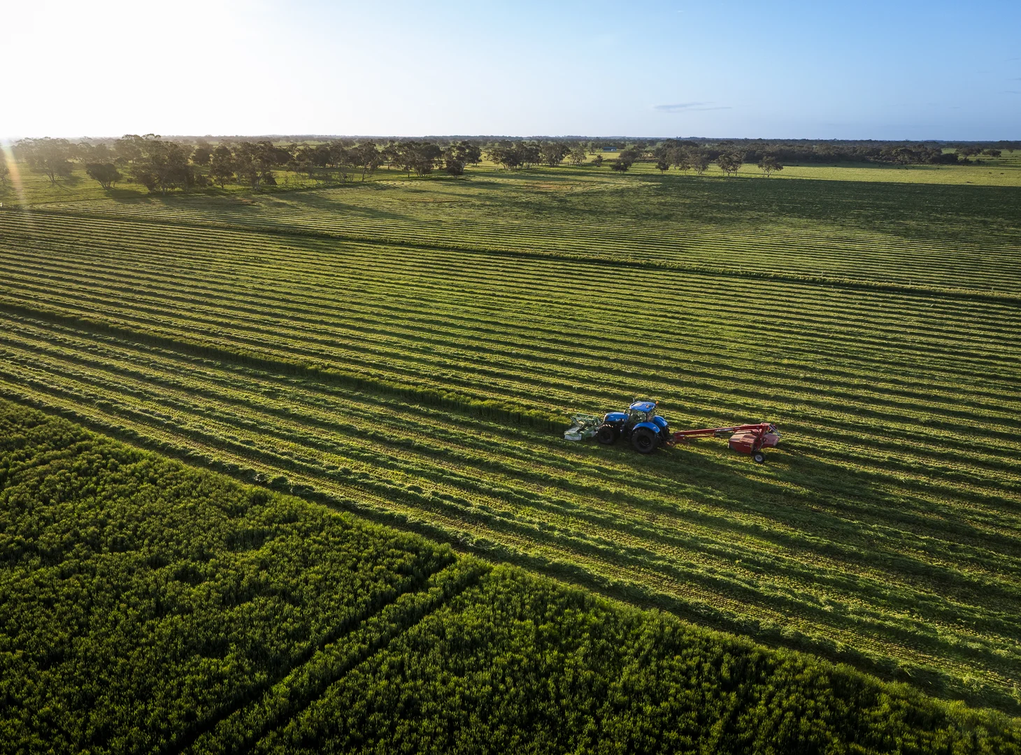 Additional image 20 of 325 Maranoa Downs Road, Stewart Range SA 5271