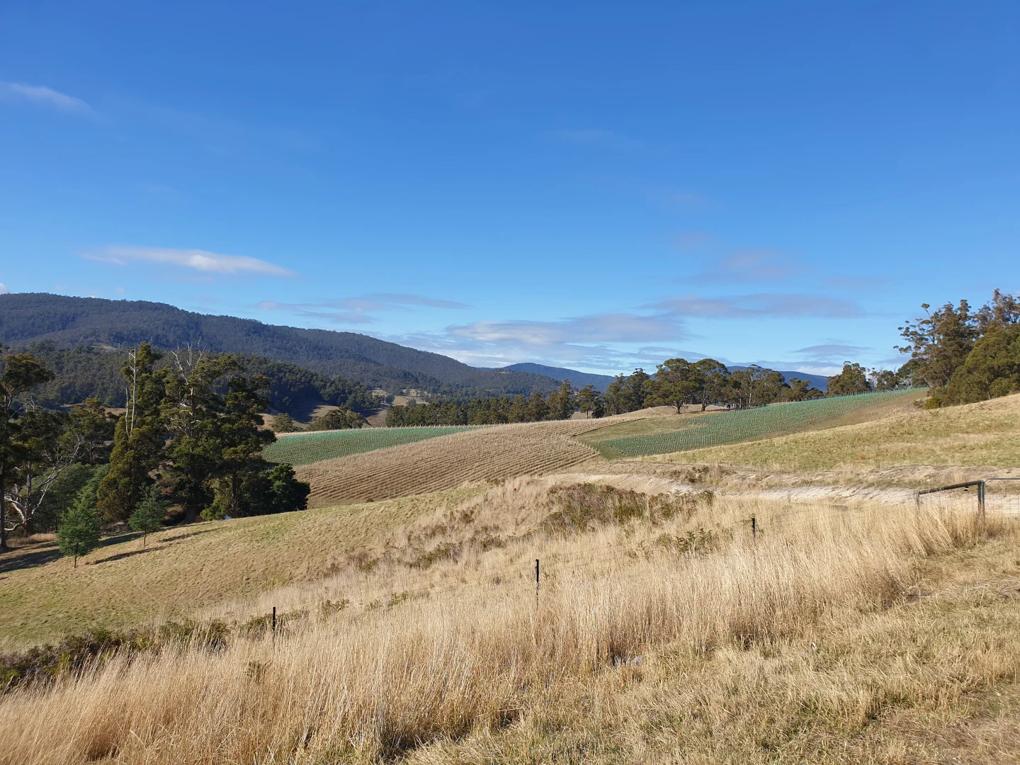 Additional image 3 of Lot 1 Wallace Road, Cygnet TAS 7112