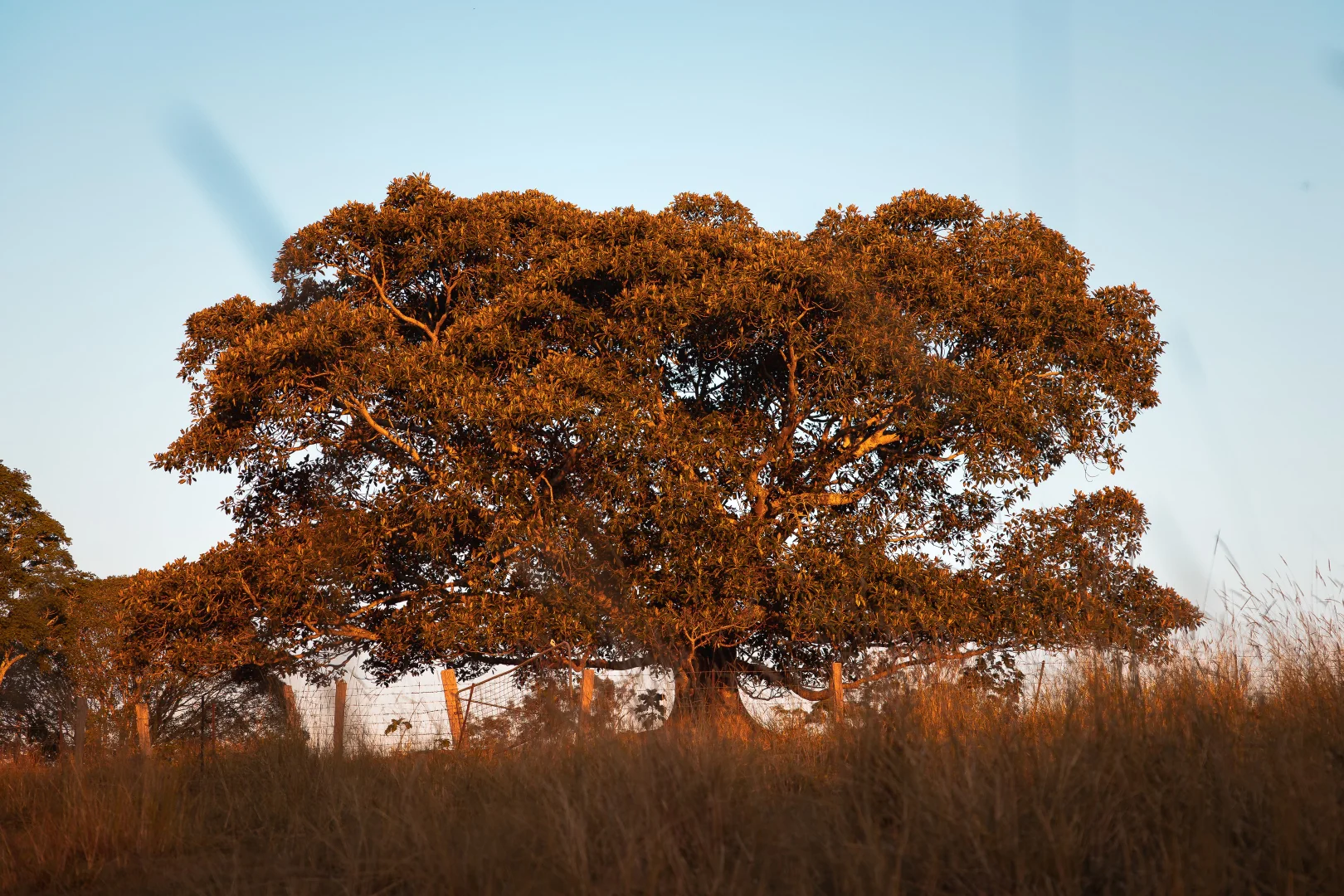 Additional image 16 of 180 Runnymede Road, Kyogle NSW 2474