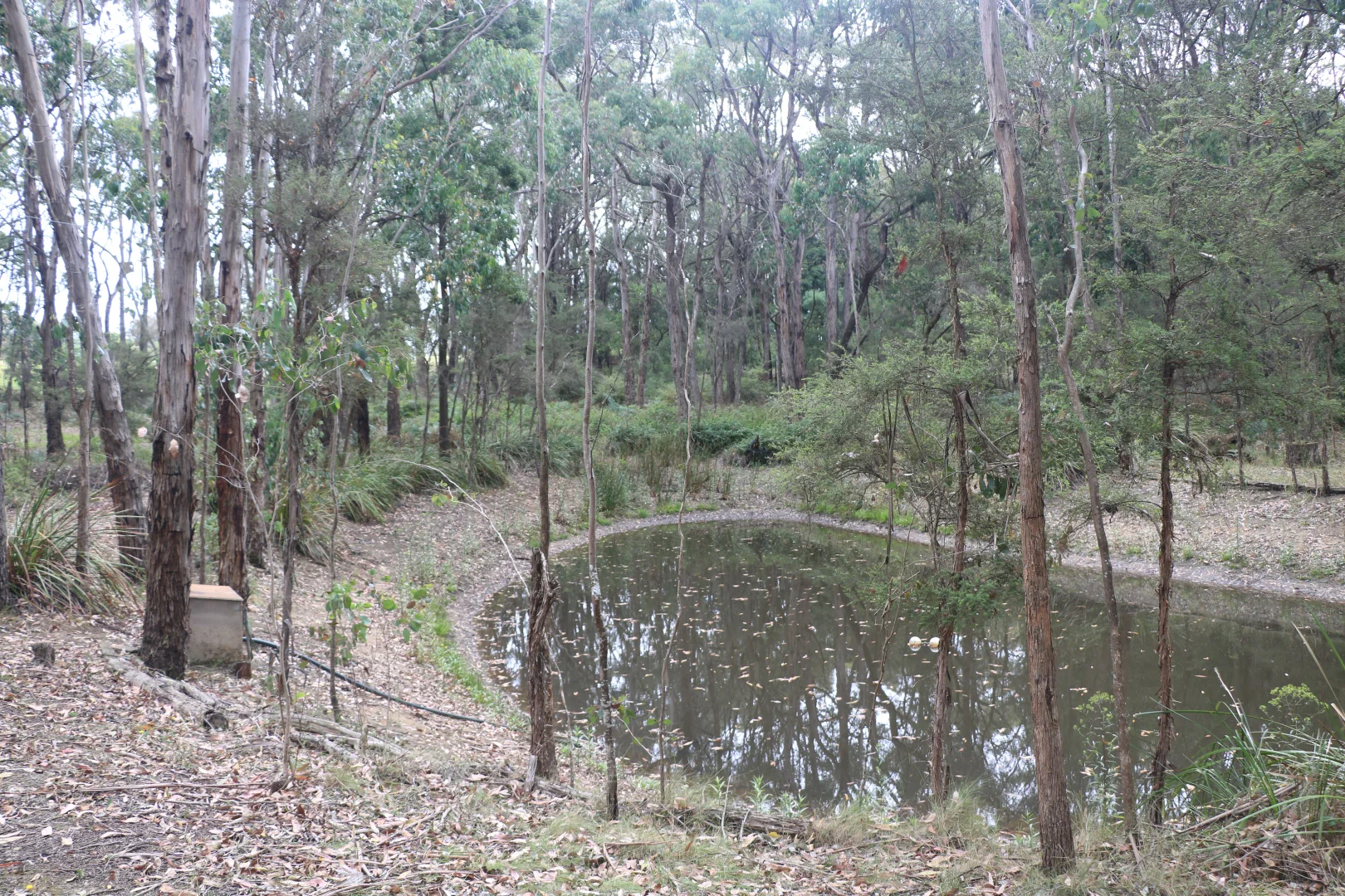 Additional image 24 of 65 Gardiners Road, Barongarook VIC 3249