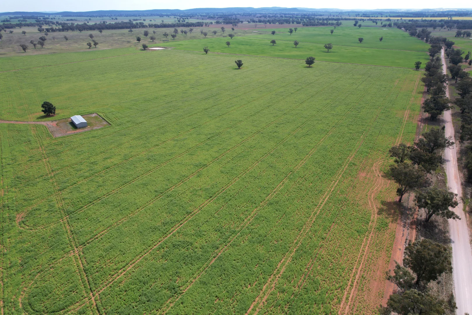 Additional image 3 of "Ben Hall Park" Yarrangong Road, Forbes NSW 2871