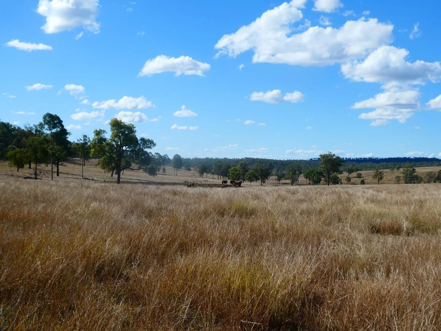Additional image 32 of NRN BEERON ROAD, Beeron QLD 4626
