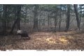 Additional image 2 of Old Bradley Rd, Mardela Springs, MD, 21837