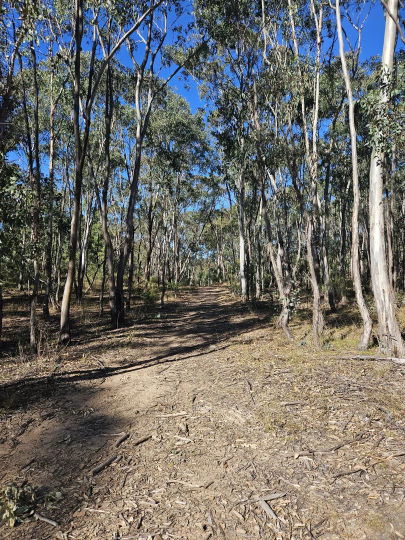 Additional image 6 of 2358 & 326 Port Macquarie Road, Rylstone NSW 2849