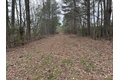 Additional image 13 of Old Bradley Rd, Mardela Springs, MD, 21837