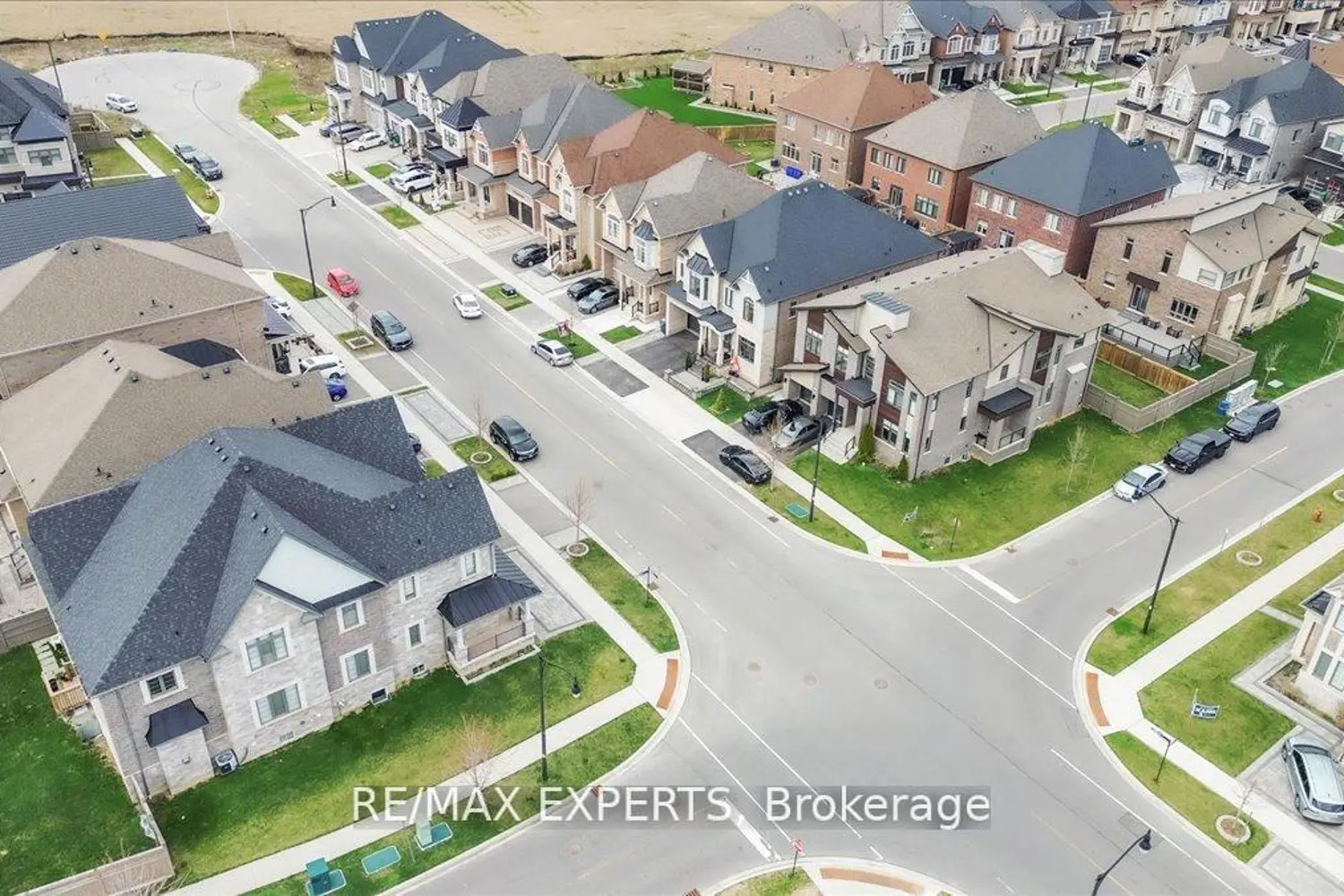 Additional image 20 of 77 Longevity Road