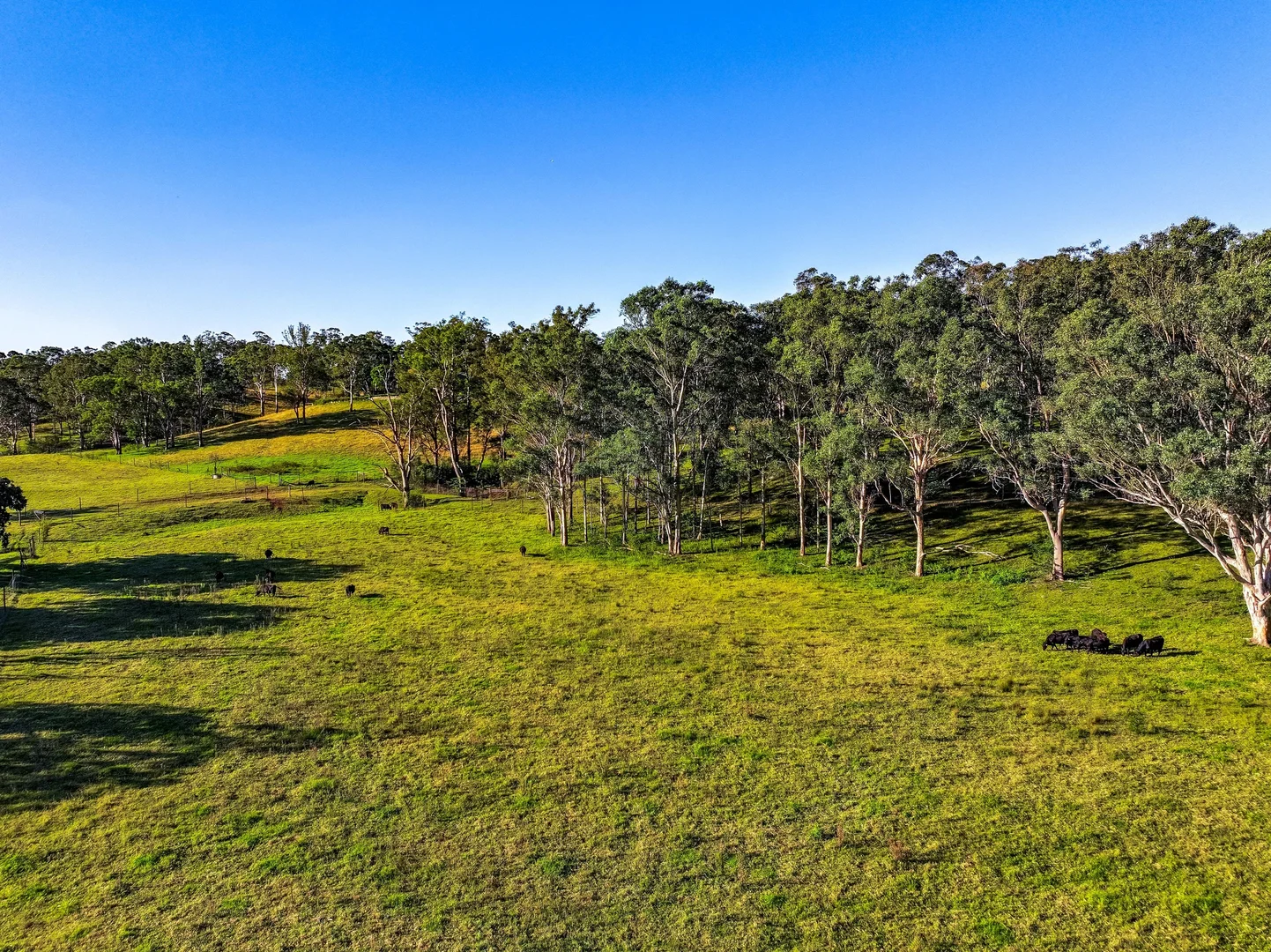 Additional image 14 of 1300 Greendale Road, Wallacia NSW 2745