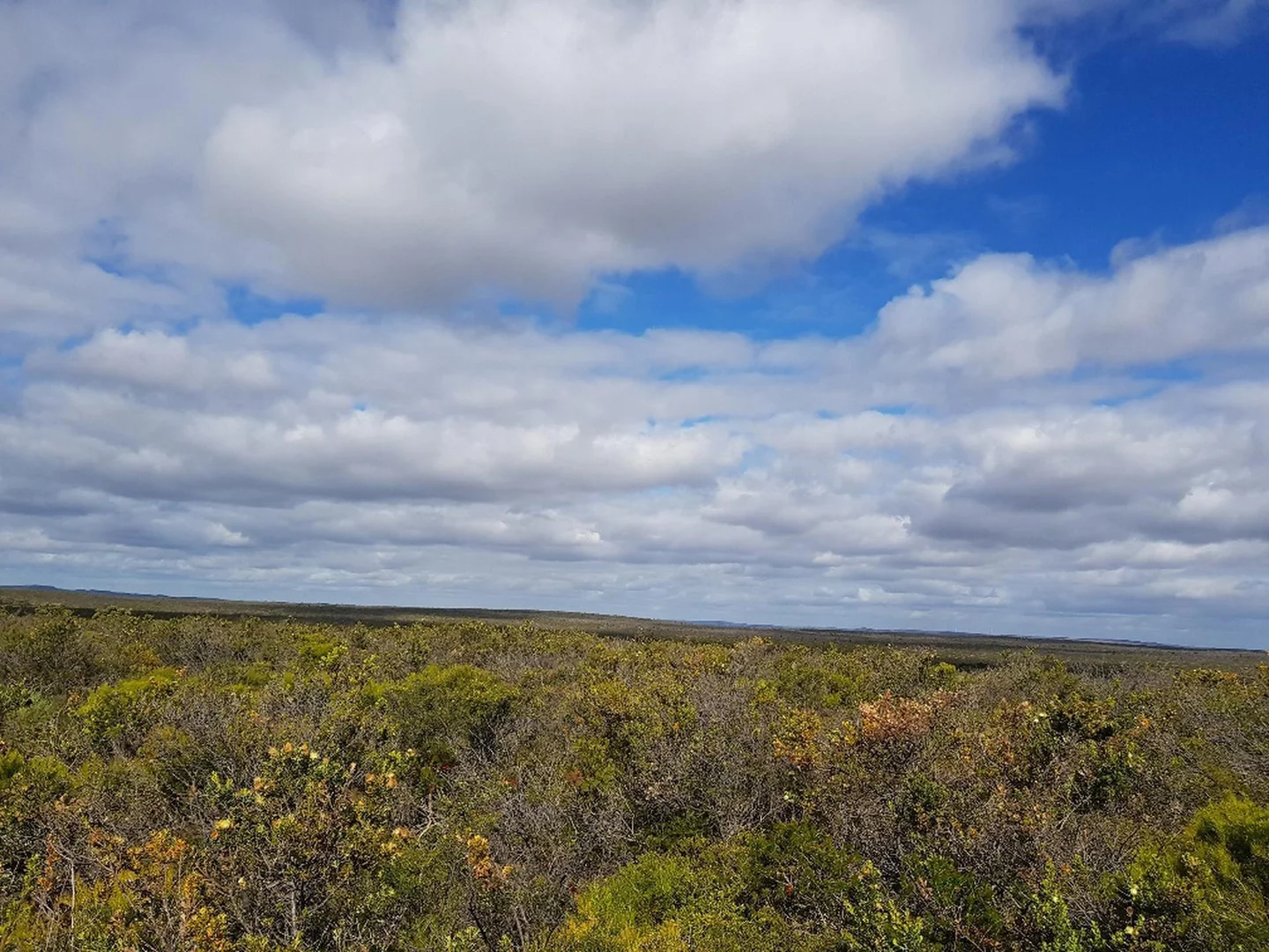 Additional image 10 of 277 PREMIER Drive, Jurien Bay WA 6516