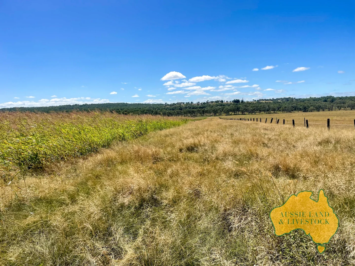 Additional image 58 of 629 Stuart Valley Drive, Haly Creek QLD 4610