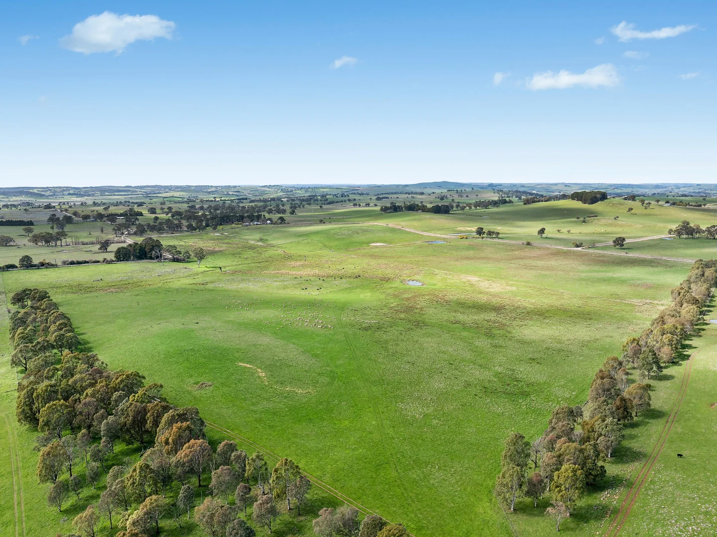 Additional image 20 of 565 Nyes Gate Road, Millthorpe NSW 2798