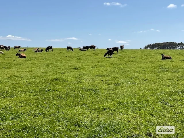 Additional image 34 of Dawkins Road, Lileah TAS 7330