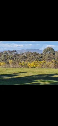 Additional image 19 of 244 Killeens Lane, Derrinal VIC 3523