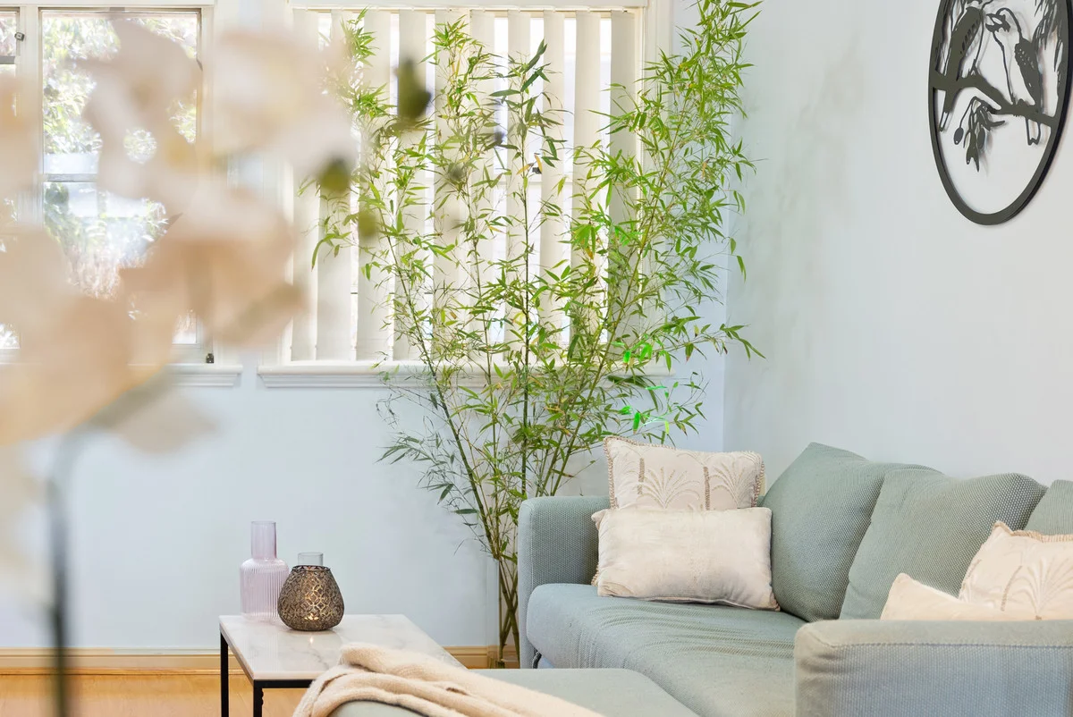 Additional image 2 of 20/11-15 Manson Street, Telopea NSW 2117