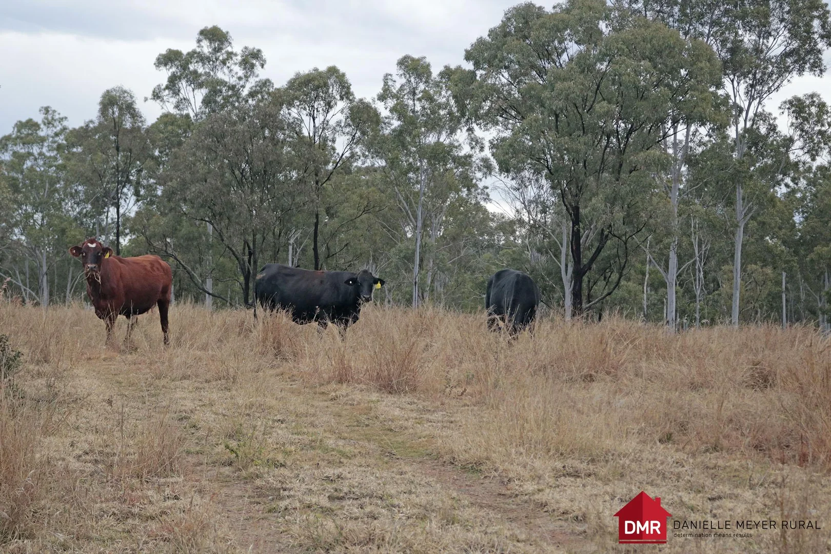 Additional image 19 of Lot 33-35 Bilboolan Road, Eidsvold QLD 4627