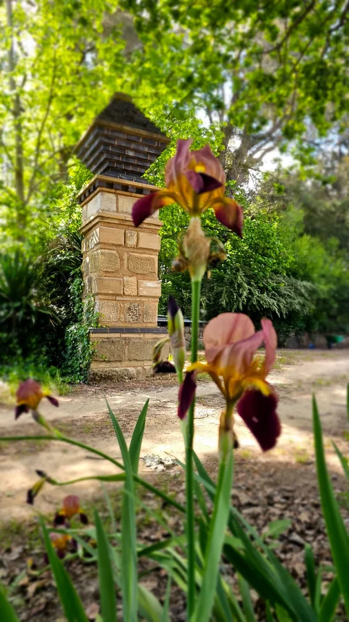 Additional image 6 of Willowvale Mill, Mill Road, Laggan NSW 2583