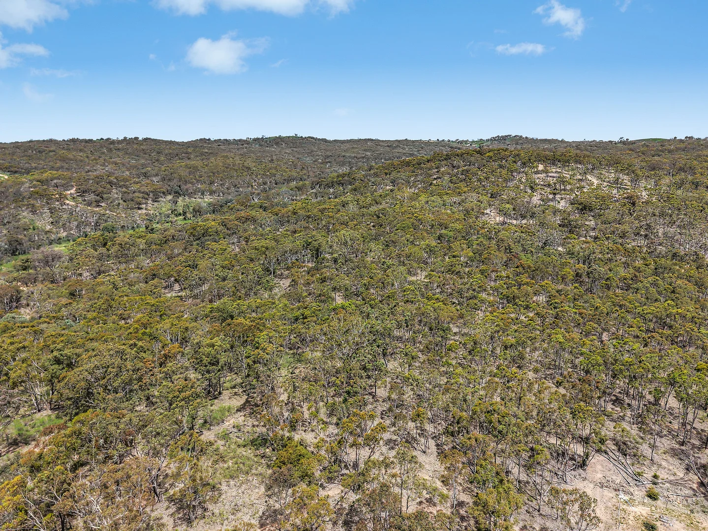 Additional image 9 of 157 Blakney Creek North Road, Bevendale NSW 2581