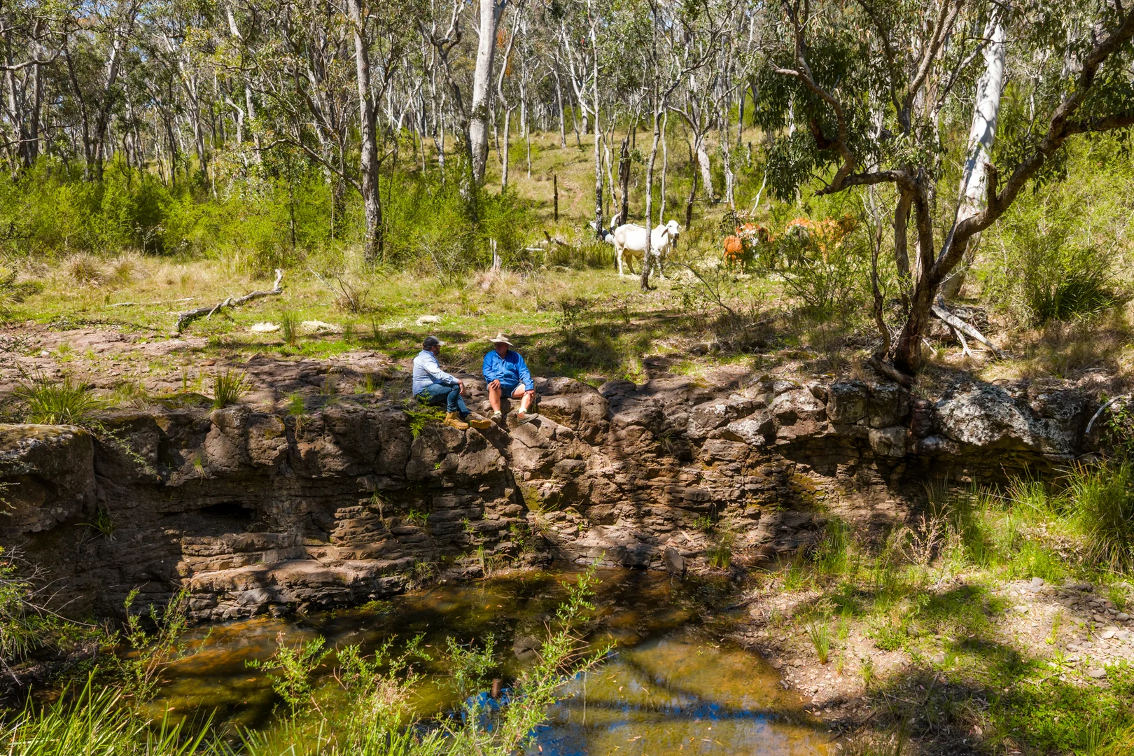 Additional image 3 of 'Yabragunyah' Pilton Valley Road, Upper Pilton QLD 4361