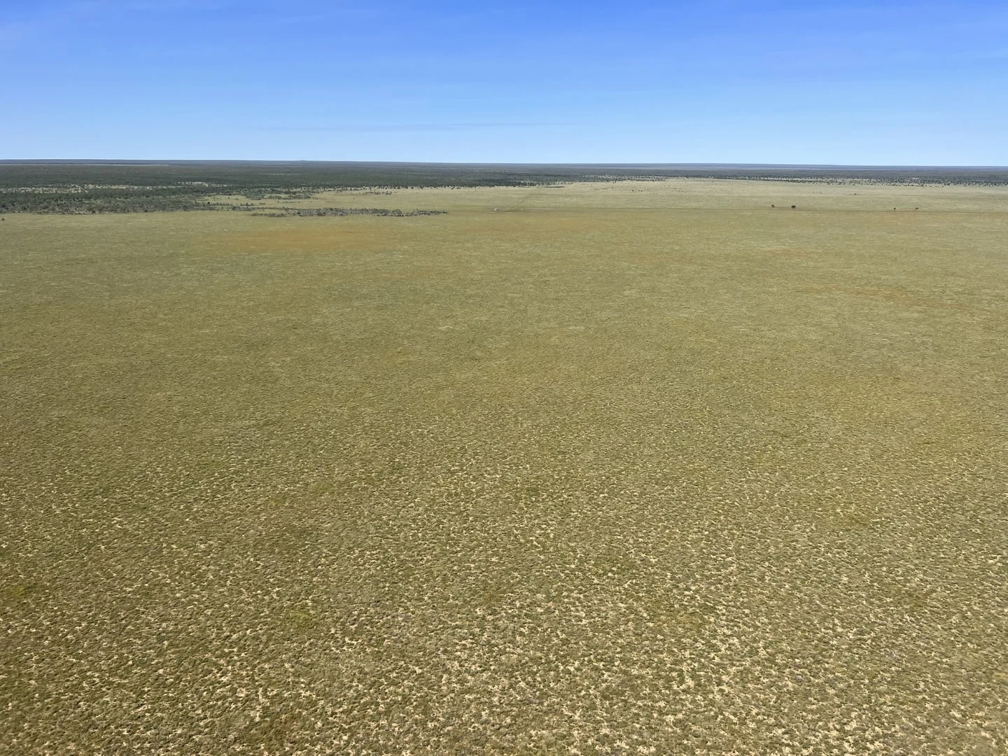 Additional image 13 of Benmara Station, Creswell NT 0852