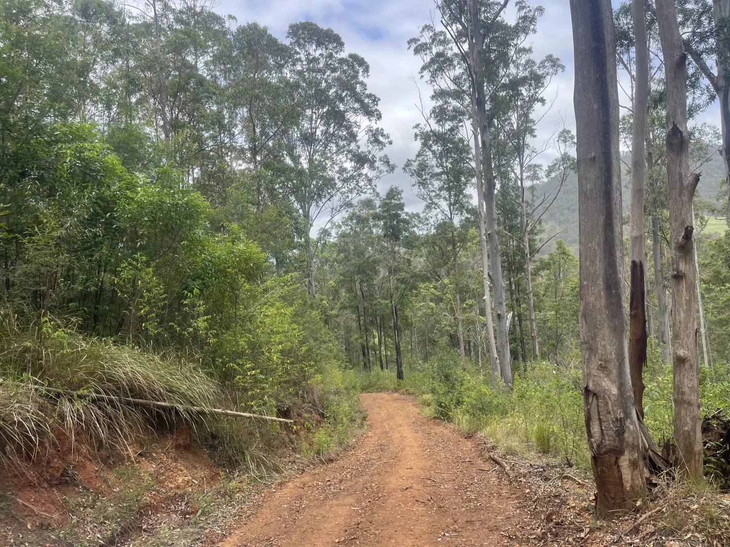 Additional image 16 of 173 Knodingbul Forest Road, Mount George NSW 2424