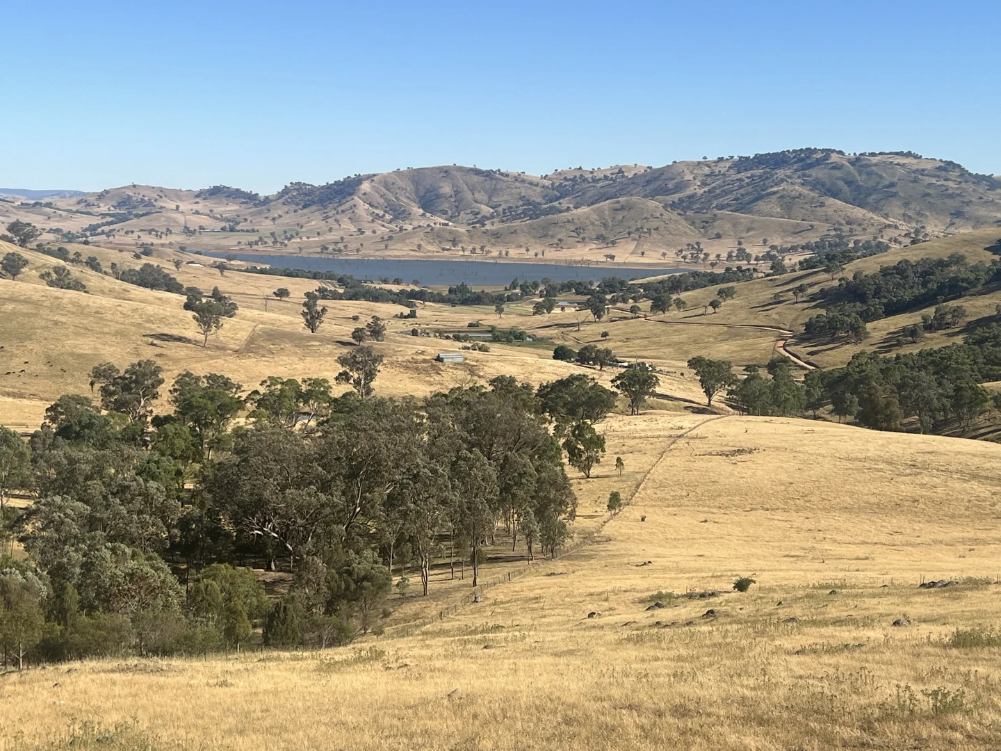 Additional image 2 of Lot 31 Lehmans Road, Talgarno VIC 3691