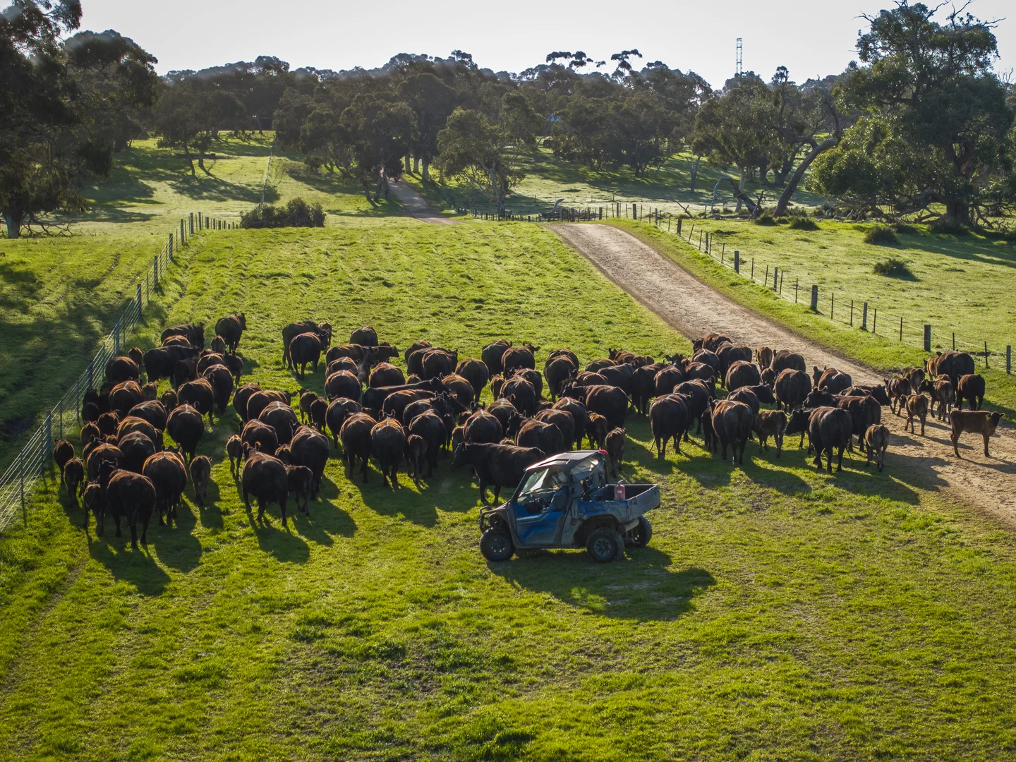 Additional image 18 of 325 Maranoa Downs Road, Stewart Range SA 5271