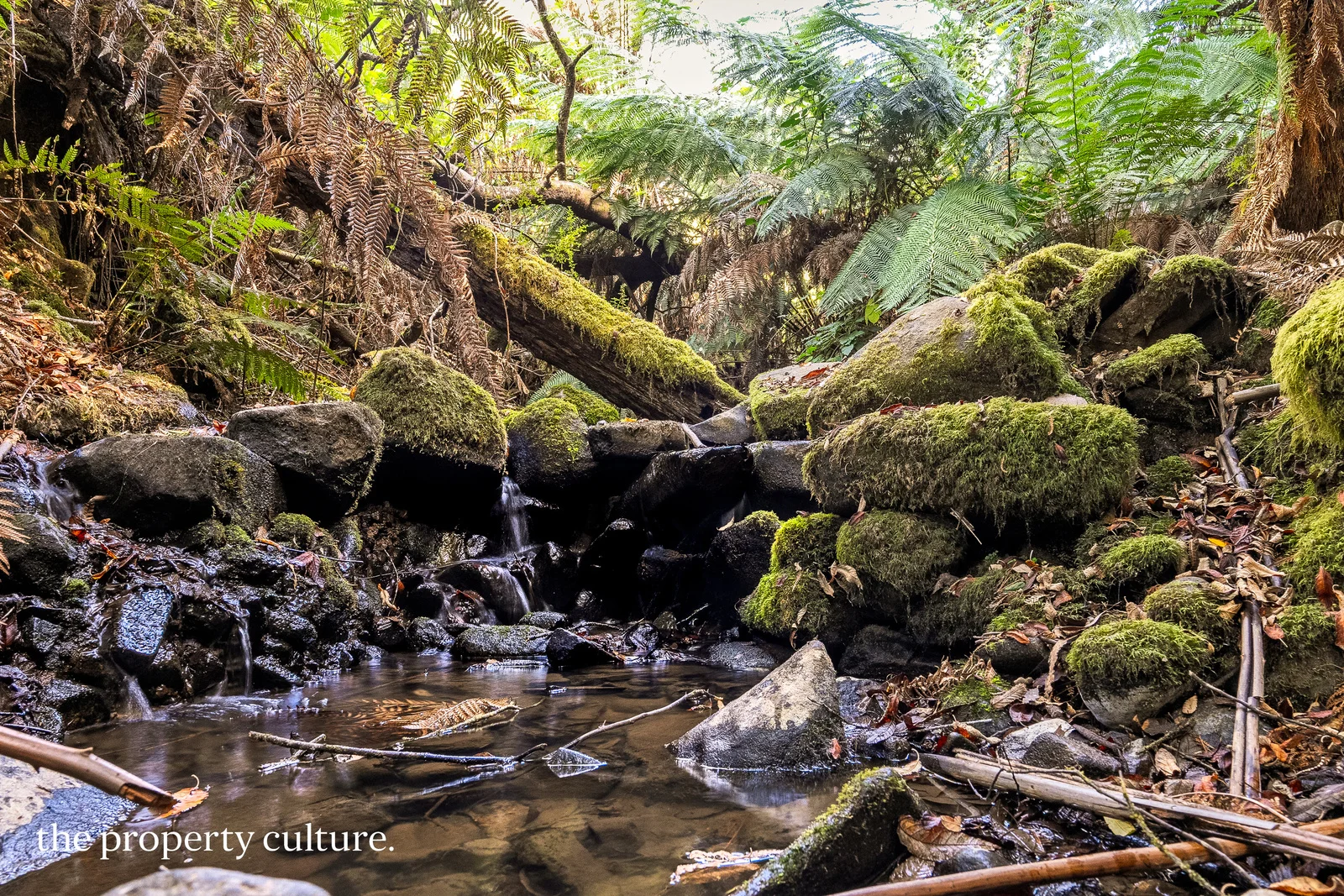 Additional image 3 of 126 New Road, Franklin TAS 7113