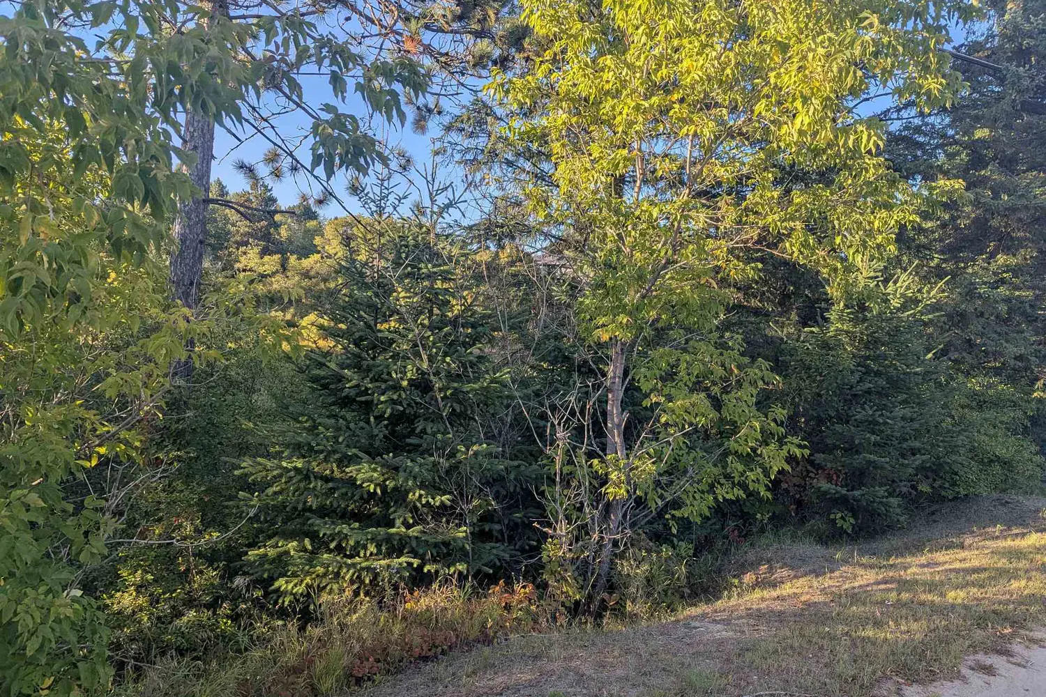 Additional image 2 of 00000 Opeongo Line