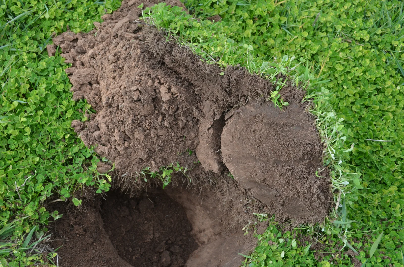 Additional image 2 of Sec 329 Tarcas Road, Frances SA 5262