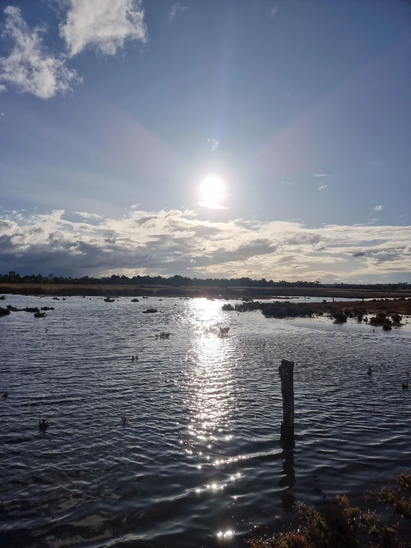 Additional image 21 of 111 CRAIGS LANE, Pearcedale VIC 3912