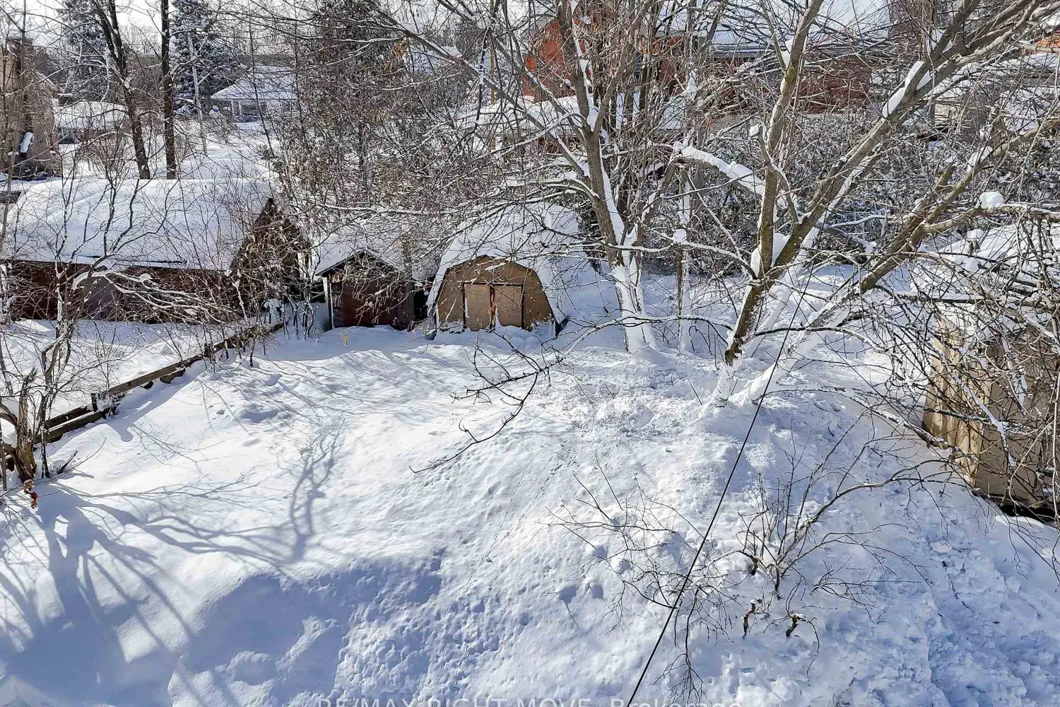 Additional image 10 of 203 Canice Street