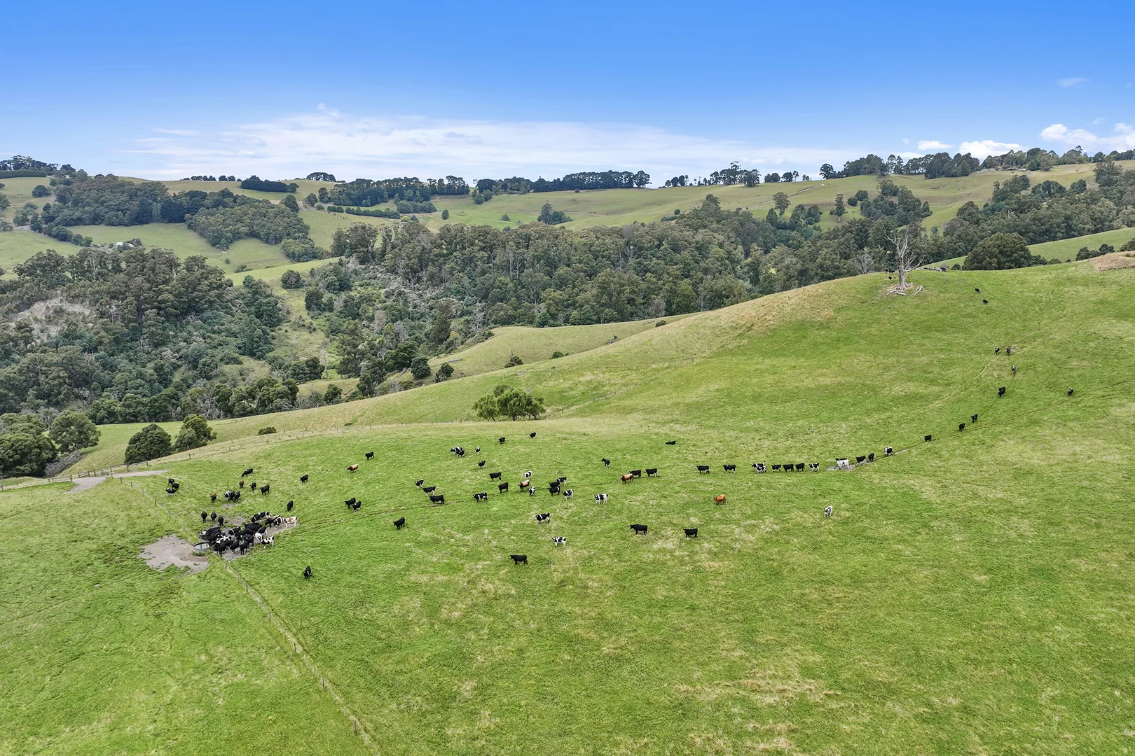 Additional image 27 of 244 Mirboo North-Trafalgar Road, Trafalgar South VIC 3824