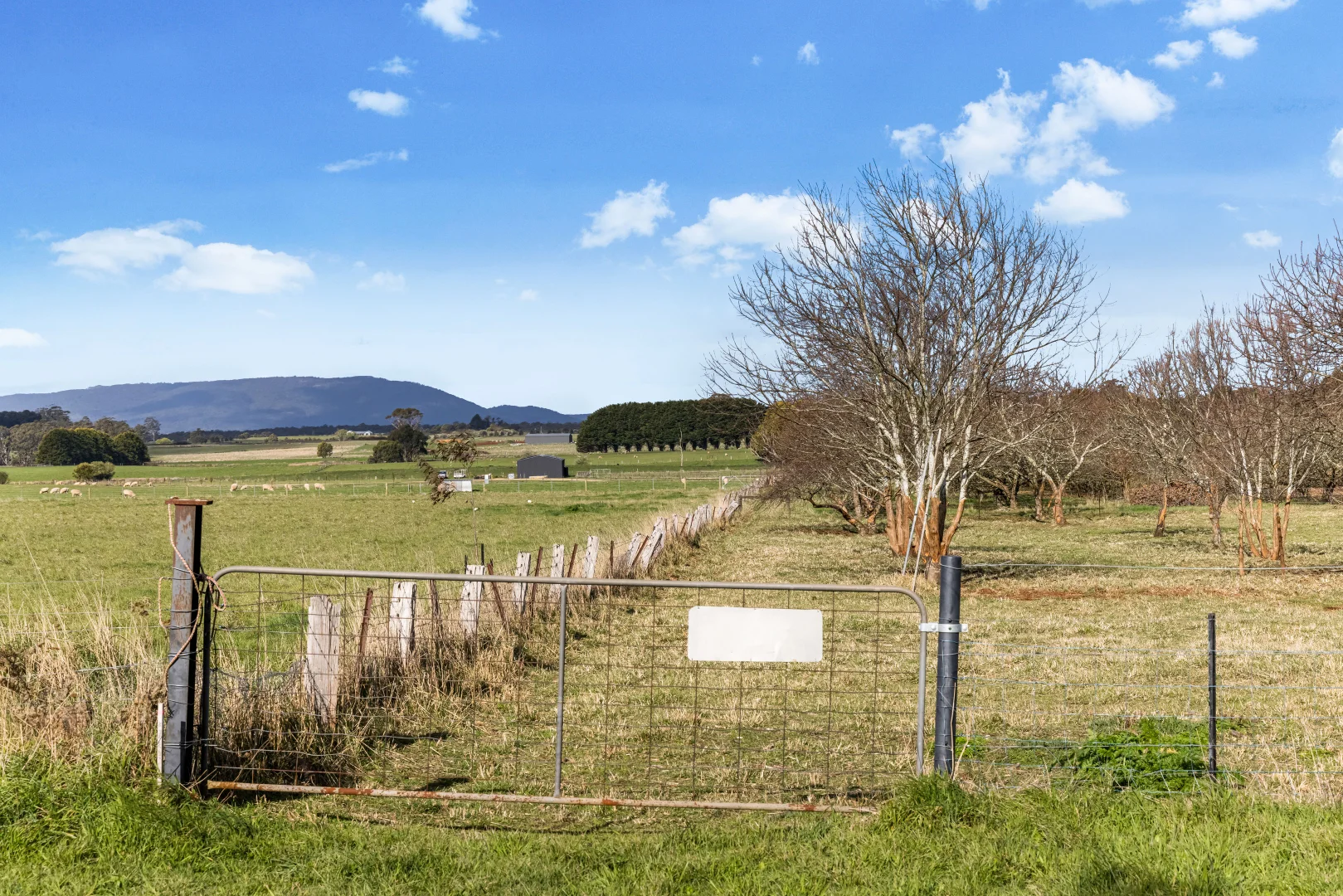 Additional image 2 of 703A James Lane, Trentham East VIC 3458