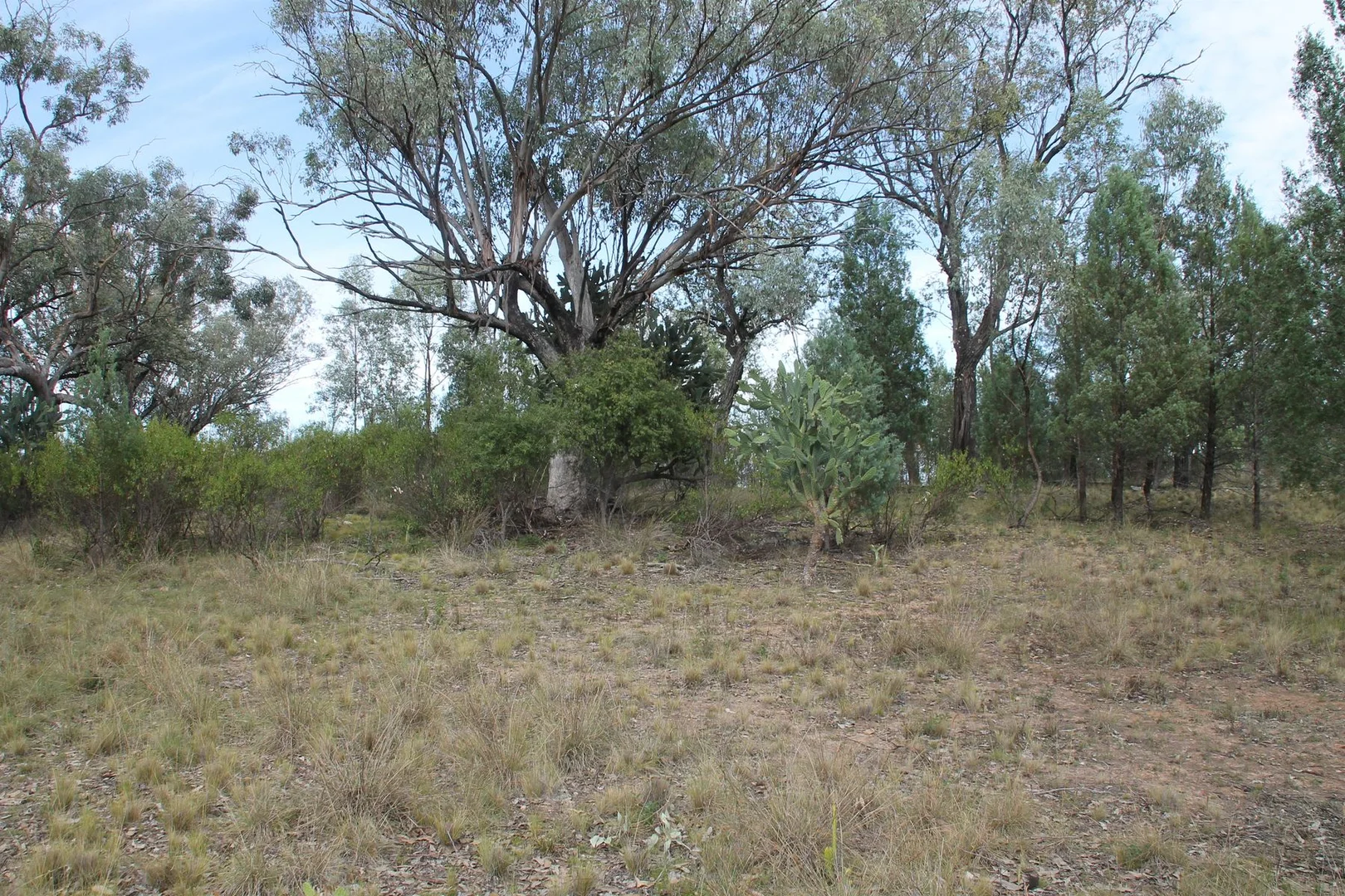 Additional image 5 of Lot 19 Mountain Creek Road, Tenterfield NSW 2372