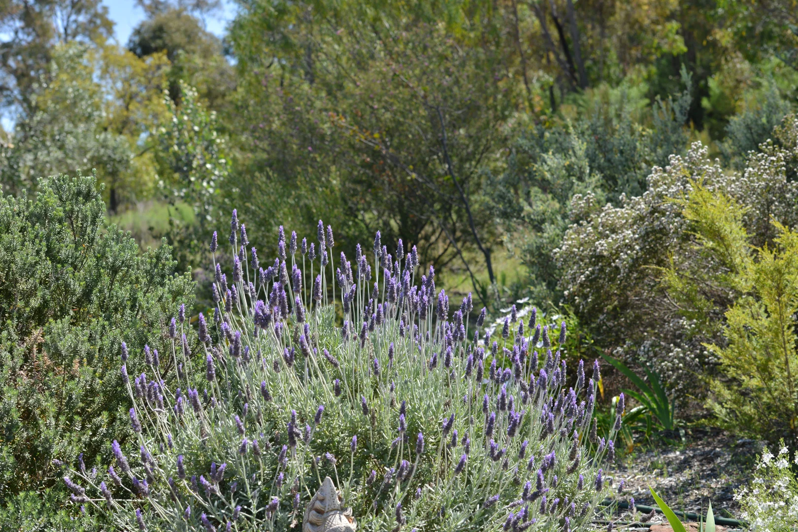 Additional image 10 of 20 Kurrajong Road, Coonabarabran NSW 2357