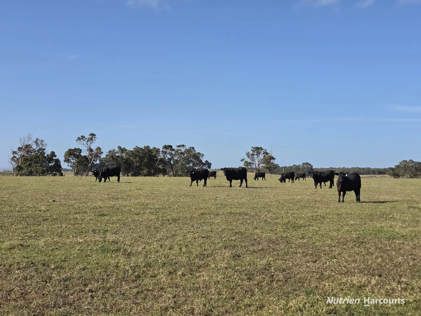 Additional image 28 of 1459 Millbrook Road, King River WA 6330