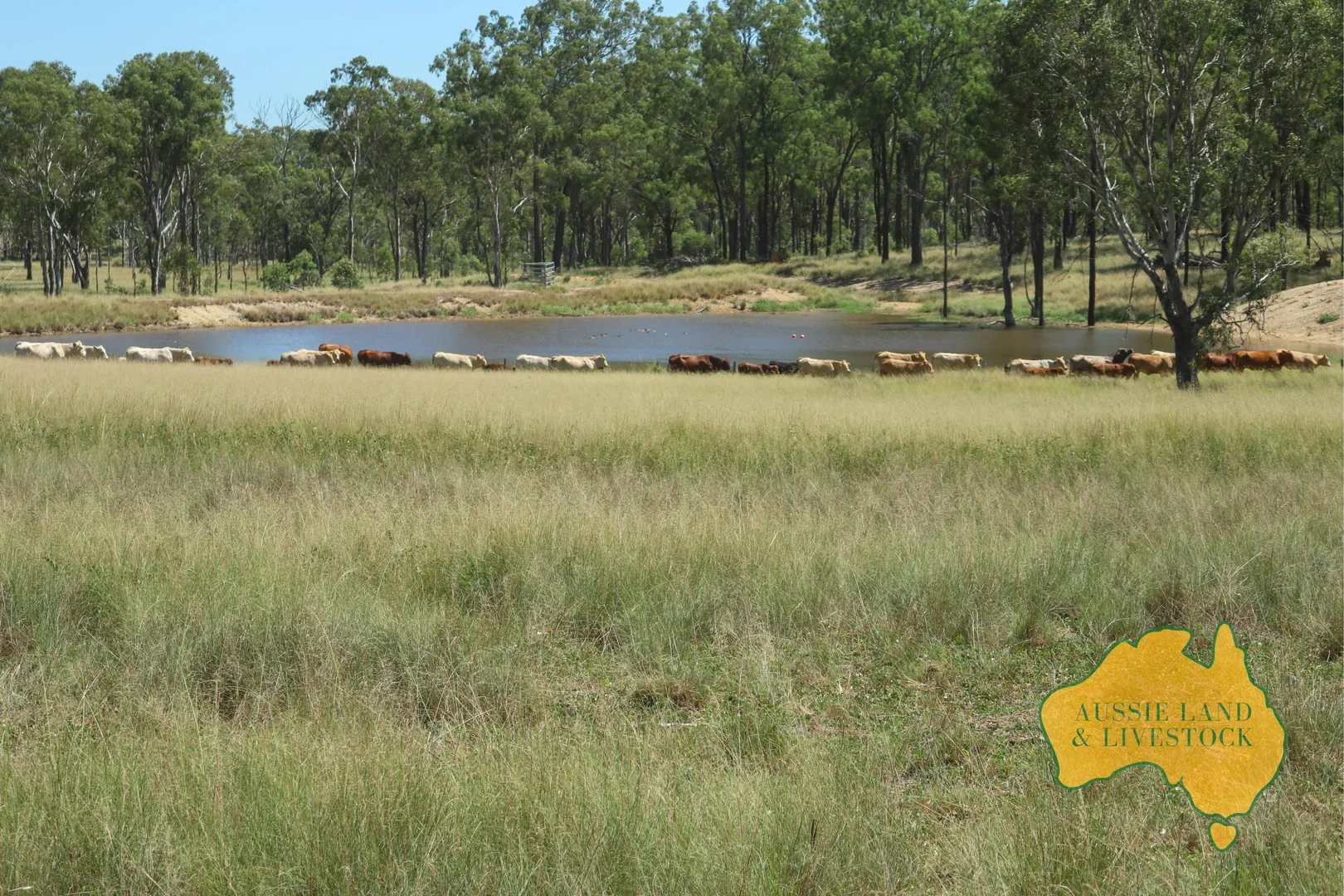 Additional image 21 of 629 Stuart Valley Drive, Haly Creek QLD 4610