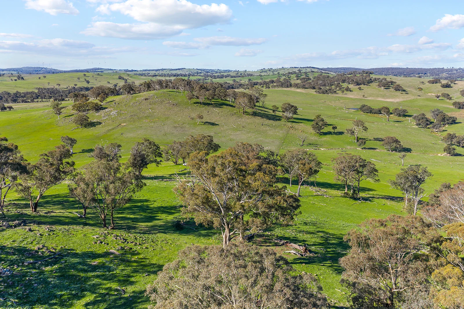 Additional image 21 of 1432 Lachlan Valley Way, Laverstock NSW 2582
