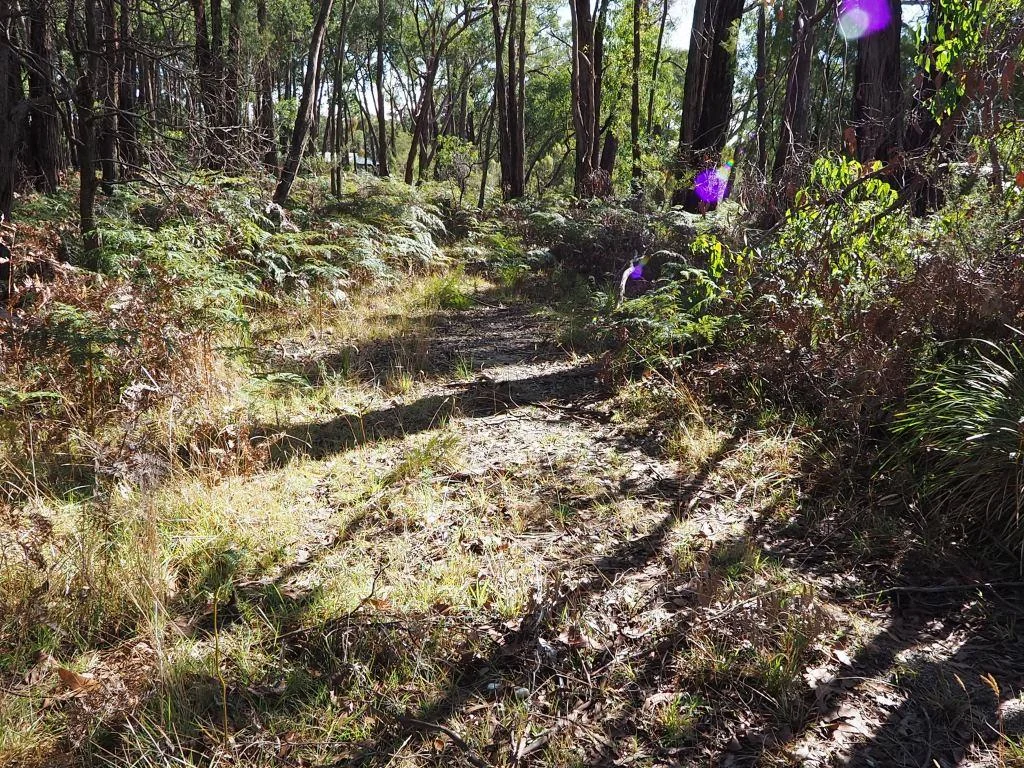 Additional image 5 of Lot 3 Brewsters Road, Yinnar South VIC 3869