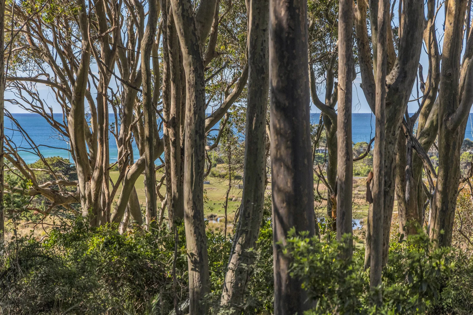 Additional image 2 of 3513 Tathra Bermagui Road, Barragga Bay NSW 2546